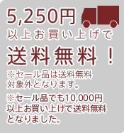 5,250円以上送料無料
